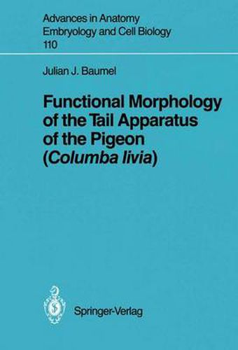 Cover image for Functional Morphology of the Tail Apparatus of the Pigeon (Columba livia)