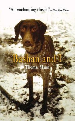 Cover image for Bashan and I