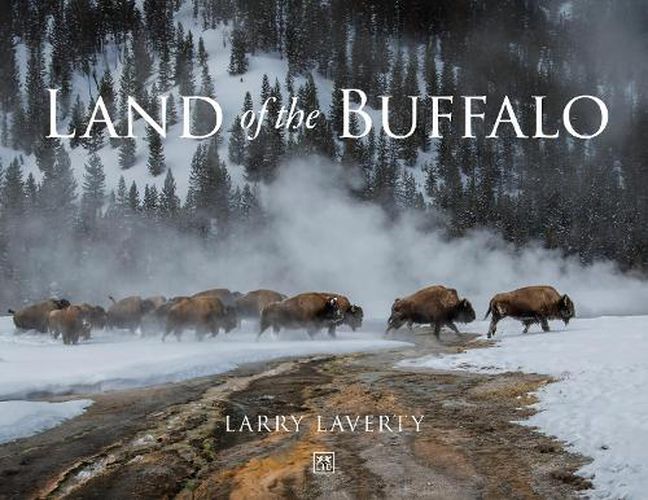 Cover image for Land of the Buffalo