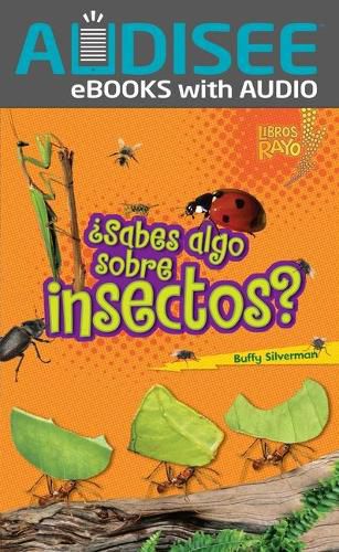 Cover image for ?Sabes Algo Sobre Insectos? (Do You Know about Insects?)