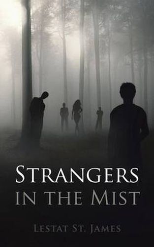 Cover image for Strangers in the Mist