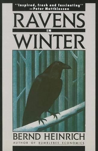 Cover image for Ravens in Winter