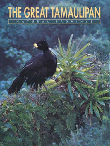 Cover image for The Great Tamaulipan Natural Province