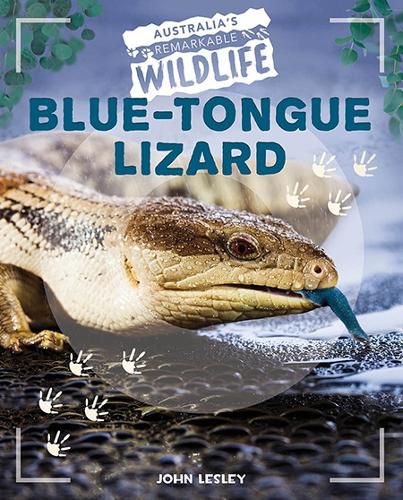 Blue-Tongue Lizard