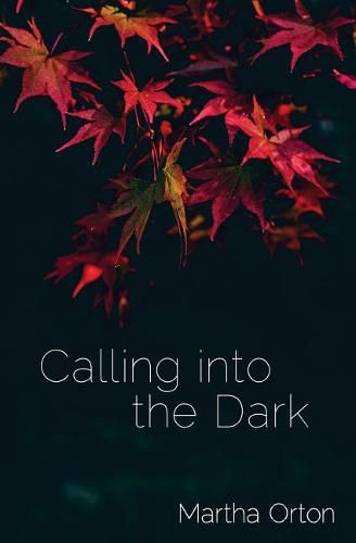 Cover image for Calling into the Dark