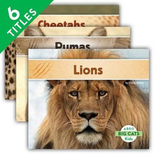 Cover image for Big Cats
