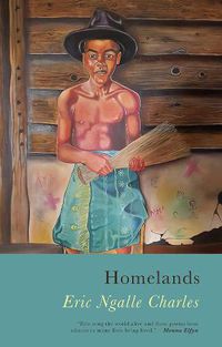 Cover image for Homelands