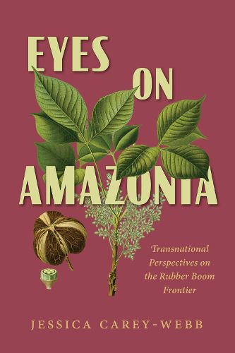 Cover image for Eyes on Amazonia