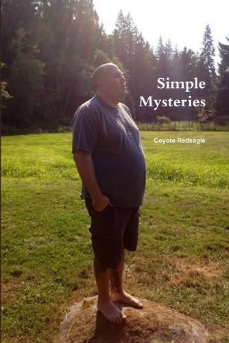 Cover image for Simple Mysteries