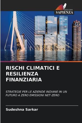 Cover image for Rischi Climatici E Resilienza Finanziaria