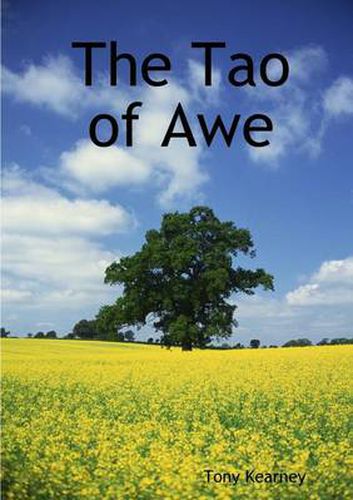Cover image for The Tao of Awe