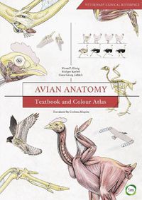 Cover image for Avian Anatomy: Textbook and Colour Atlas
