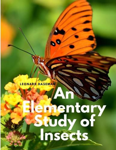 Cover image for An Elementary Study of Insects