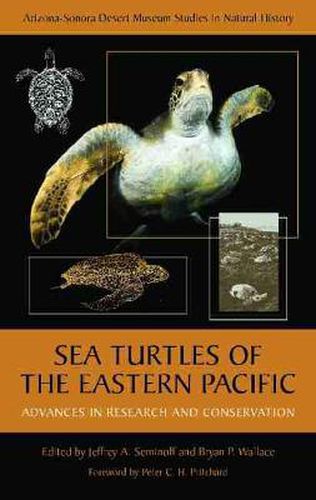 Cover image for Sea Turtles of the Eastern Pacific: Advances in Research and Conservation