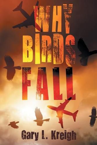 Cover image for Why Birds Fall