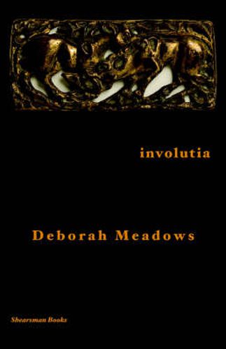 Cover image for Involutia