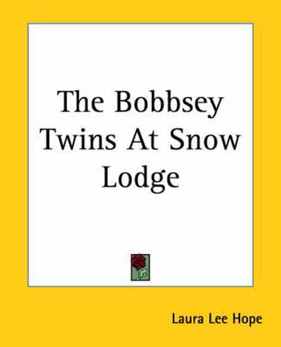 Cover image for The Bobbsey Twins At Snow Lodge