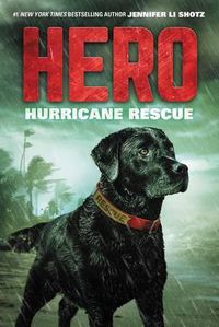 Cover image for Hero: Hurricane Rescue