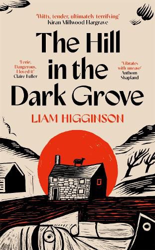 Cover image for The Hill in the Dark Grove