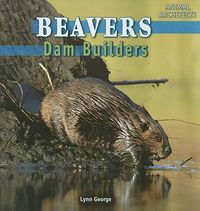 Cover image for Beavers