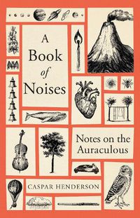 Cover image for A Book of Noises