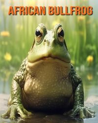 Cover image for African Bullfrog