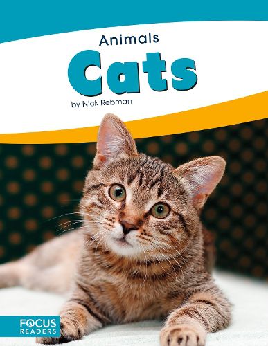 Cover image for Animals: Cats