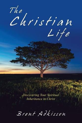 Cover image for The Christian Life: Discovering Your Spiritual Inheritance in Christ