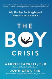 Cover image for The Boy Crisis: Why Our Boys Are Struggling and What We Can Do About It