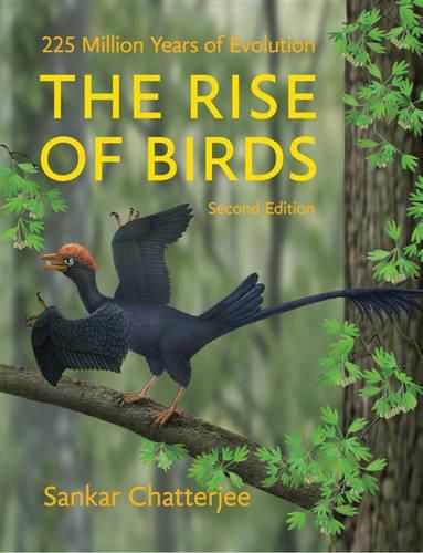 Cover image for The Rise of Birds: 225 Million Years of Evolution