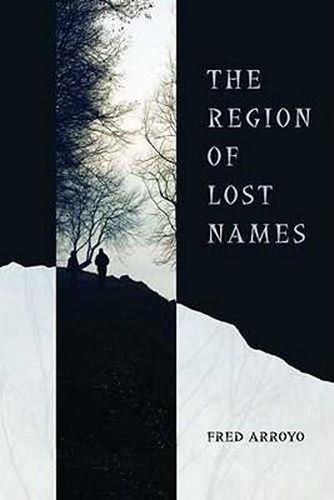 Cover image for The Region of Lost Names