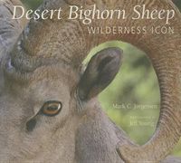 Cover image for The Desert Bighorn Sheep: Wilderness Icon