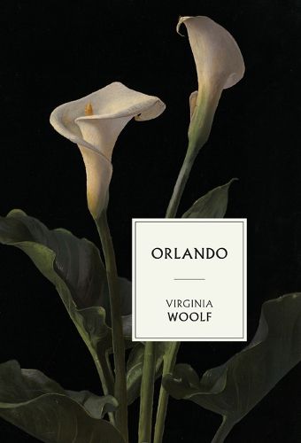 Cover image for Orlando