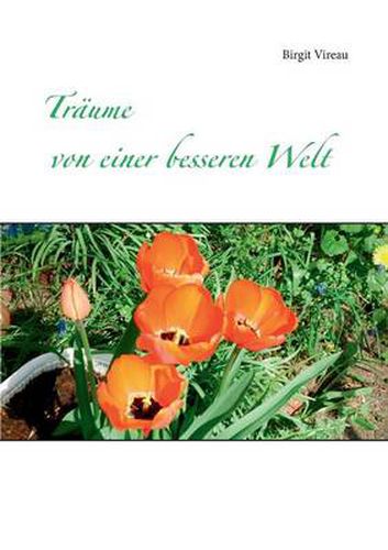 Cover image for Traume von einer besseren Welt