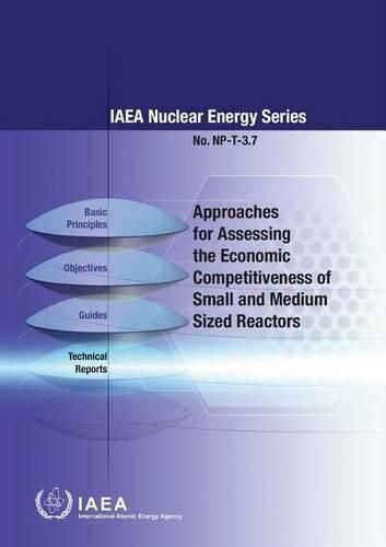 Approaches for assessing the economic competitiveness of small and medium sized reactors