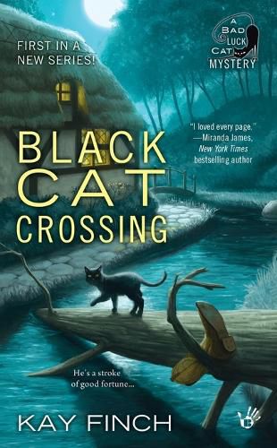 Cover image for Black Cat Crossing