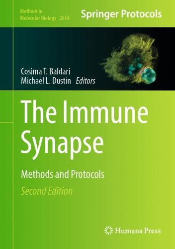 Cover image for The Immune Synapse