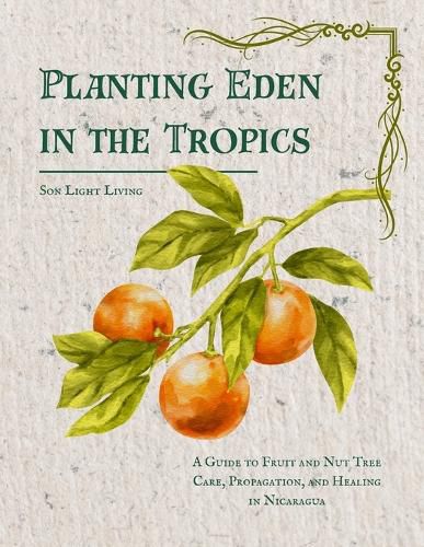 Cover image for Planting Eden in the Tropics