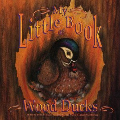 My Little Book of Wood Ducks