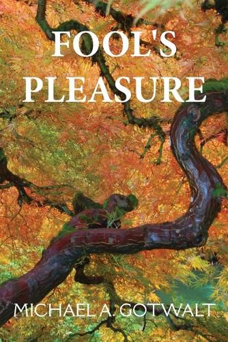 Cover image for Fool's Pleasure