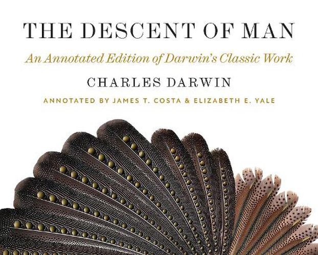Cover image for The Descent of Man