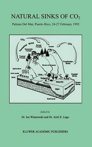 Cover image for Natural Sinks of CO2: Palmas Del Mar, Puerto Rico, 24-27 February 1992