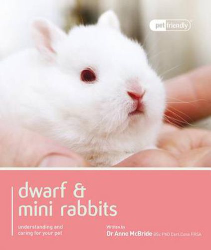 Cover image for Dwarf Rabbit - Pet Friendly