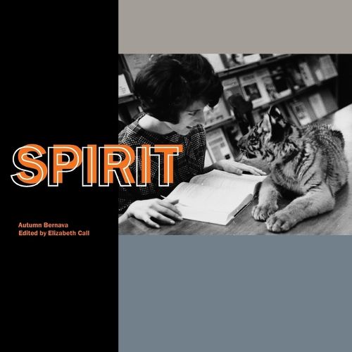 Cover image for Spirit