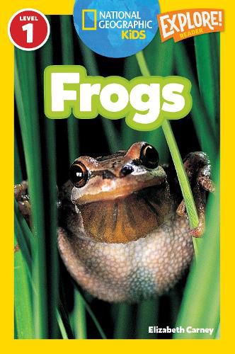 Cover image for National Geographic Readers: Frogs!