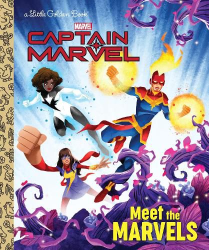 Cover image for Meet the Marvels (Marvel)