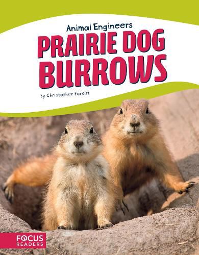 Cover image for Animal Engineers: Prairie Dog Burrows