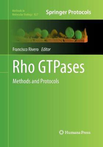 Cover image for Rho GTPases: Methods and Protocols