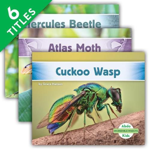 Cover image for Incredible Insects (Set)