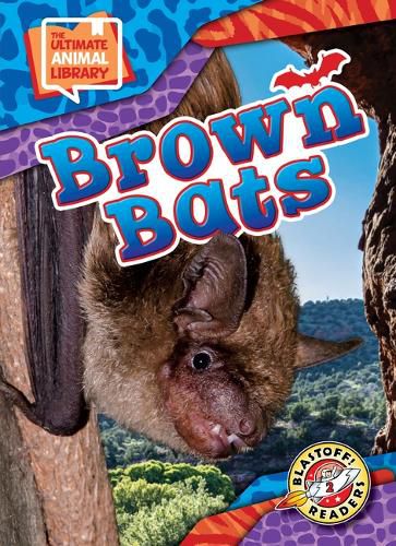 Cover image for Brown Bats